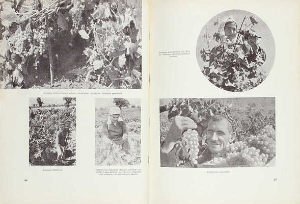 Санников Г.А., Аветисян Г.А. Армянская ССР на Всесоюзной сельско-хозяйственной выставке 1939 года. [Альбом] / Худож. оформ. Я.Д. Егорова. М.: Госкиноиздат, 1940.